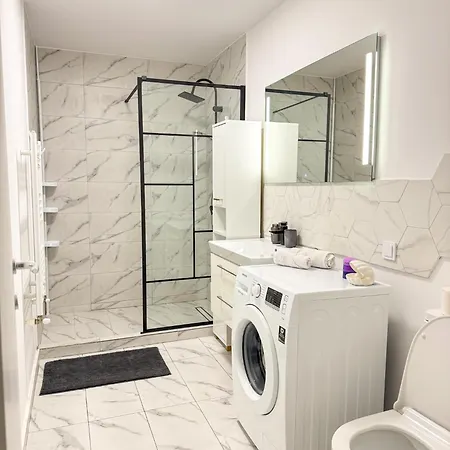 Modern 10 Minutes Walking Distance From N Romanescu Park