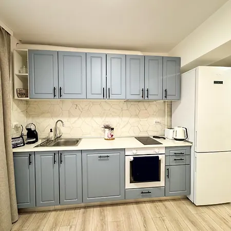 Modern 10 Minutes Walking Distance From N Romanescu Park Daire Craiova